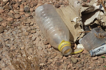 A plastic bottle lying on the ground, Plastic pollution, Plastic environmental impact