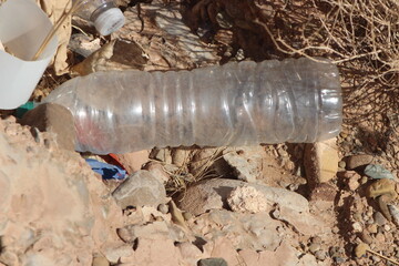 A plastic bottle lying on the ground, Plastic pollution, Plastic environmental impact