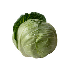 Fototapeta premium A photograph of a pristine green cabbage isolated against a png transparent background, 