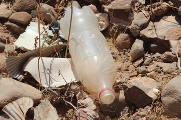A plastic bottle lying on the ground, Plastic pollution, Plastic environmental impact