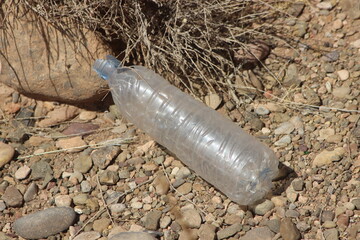 A plastic bottle lying on the ground, Plastic pollution, Plastic environmental impact