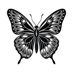 Butterfly silhouette vector