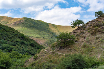 View of the yellow-green hills, ravine, pistachio trees on the slopes and the blue sky with white...