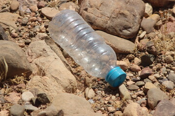 A plastic bottle lying on the ground, Plastic pollution, Plastic environmental impact