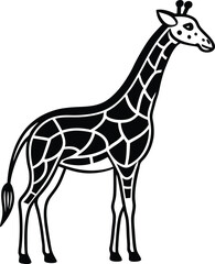 Brown young giraffe animal with long neck standing isolated on white