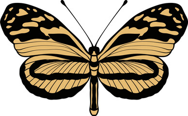butterfly clipart