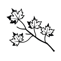 Red Maple Leaves Branch