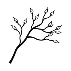 Manzanita Branch with Smooth Red Bark