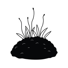 Moss Clump Growing on Stone