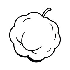 Cotton Boll with Fluffy White Fiber and Brown Capsule