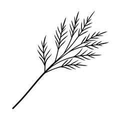 Dill Sprig with Feathery Fronds