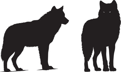 Wolves standing alert wild animal pose silhouette vector illustration