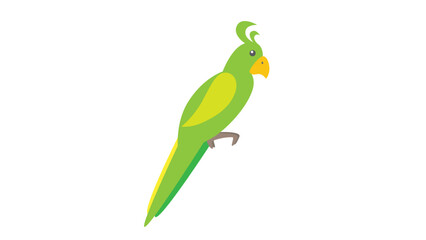 parrot