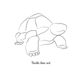  vector continuous one line art drawing of sea turtle 