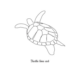 vector continuous one line art drawing of sea turtle 