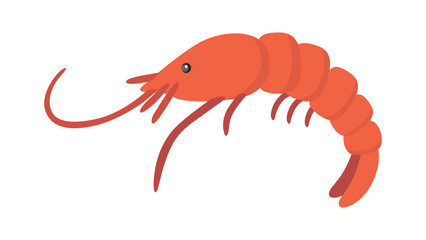 shrimp isolated on white background