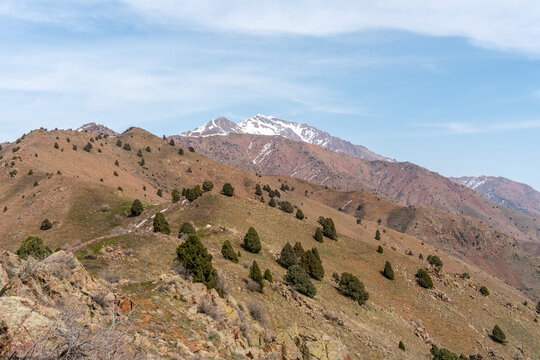 Chatkal Range mountain ridge in early spring, Angren vicinity, Uzbekistan.