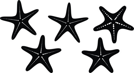 Elegant Starfish Silhouette Vector Illustration Collection