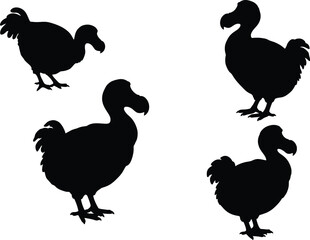 Fototapeta premium Dodo Bird Silhouette Vector Illustration of Extinct Birds