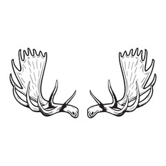 Moose Antlers Symmetrical Pair – Vector Illustration