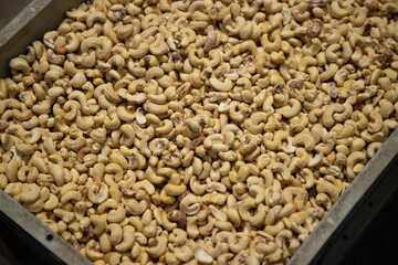 les noix de cajou produit au Burkina faso 