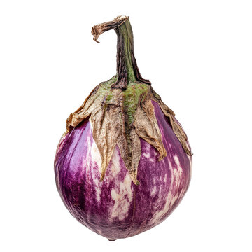 Eggplant on white, High angle view of eggplant, Vaslui, Romania, isolated on on transparent background