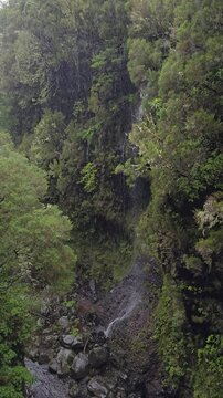 Sheer cliffs soaked by cascading waterfalls and thick mist define the Risco and 25 Fontes levada trail in Raba&ccedil;al, Madeira &mdash; a wild, immersive hike through cloud forest terrain.