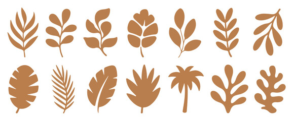 Obraz premium Vector illustration of various brown leafy elements for decoration designs