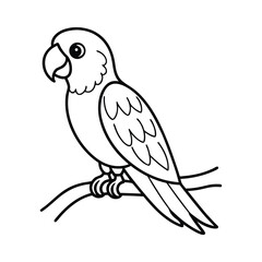 parrot on white background cute parrot on branch coloring page