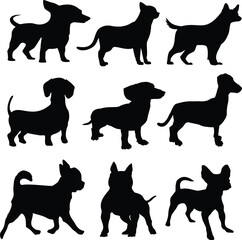 DOG BLACK VECTOR