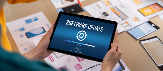 Software update on computer for brisk version of device software upgrade