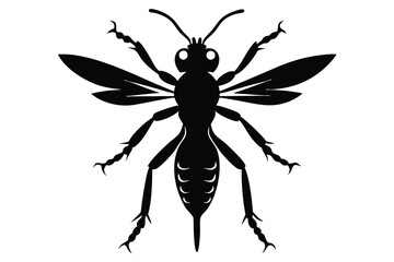 set of insects silhouettes