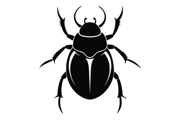 stag beetle isolated on white background
