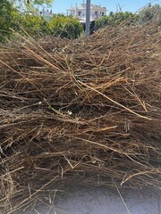 Dried branches piled together in natural style, outdoor scene