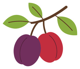 Plum whole fruit with leaves isolated on a white background. Cartoon icon for package design. Vector illustration of tropical fruits in flat style
