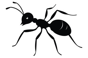 ant vector illustration