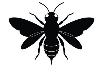 vector illustration of a wasp