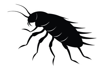 mosquito isolated on white background