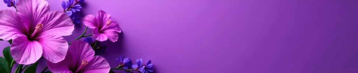 Obraz premium A vibrant purple floral arrangement against a matching purple backdrop , still life, plant