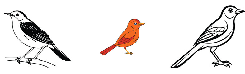 Obraz premium Bird illustrations isolated vector cartoon bird collection bird sketches on white background bird outline