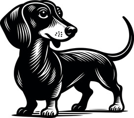 Elegant Black and White Dachshund Illustration