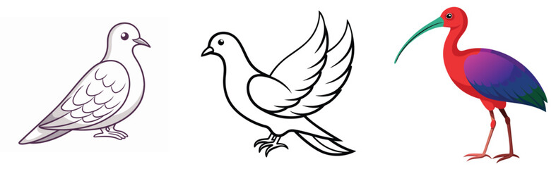 Obraz premium Cartoon birds illustration featuring dove drawings and colorful scarlet ibis standing gracefully on white