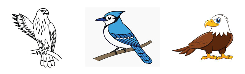 Obraz premium Cartoon illustration of hawk blue jay and bald eagle in vector format wildlife