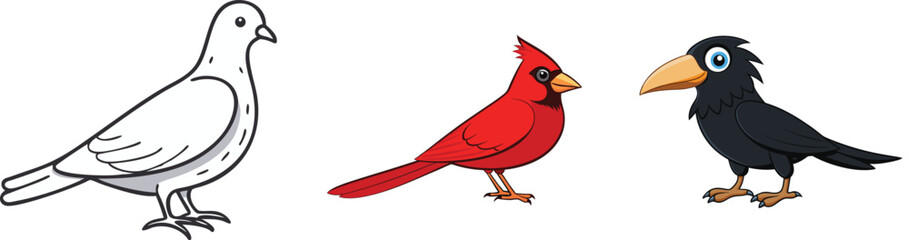 Cartoon illustration of pigeon cardinal and crow featuring cute bird characters on white background