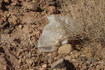 A plastic bag on the ground, Plastic environmental impact