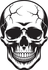 Human Skull Silhouette with Cracked Details Black and White Vector

