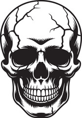 Human Skull Silhouette with Cracked Details Black and White Vector

