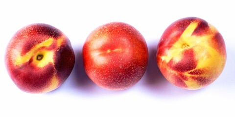 Nectarines, variety of peach,Prunus persica, is a deciduous tree. 