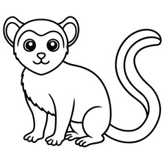 Naklejka premium Pygmy Marmoset vector illustration white background