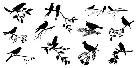 Nature landscape with birds silhouettes. Birds on branches set. Vector illustration	
